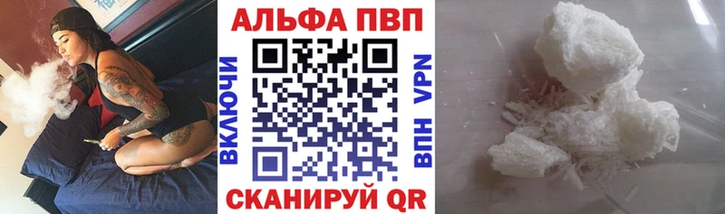 A PVP СК  Зеленоградск 