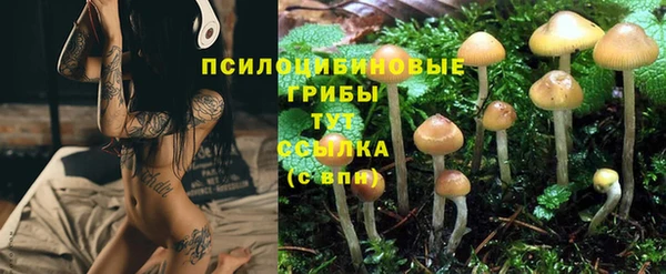 прущая мука Арсеньев