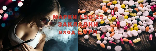 гашик Алзамай