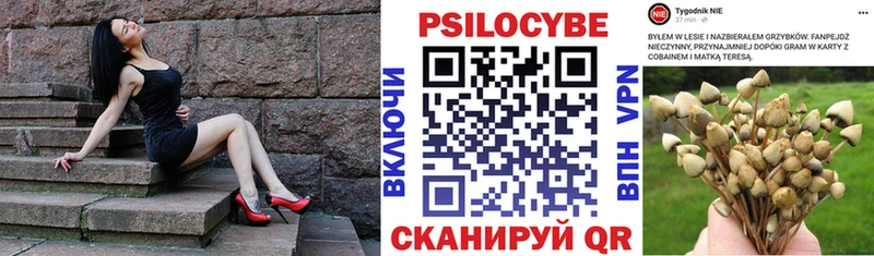 Псилоцибиновые грибы мухоморы  Зеленоградск 